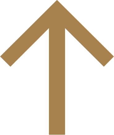 To Top Arrow