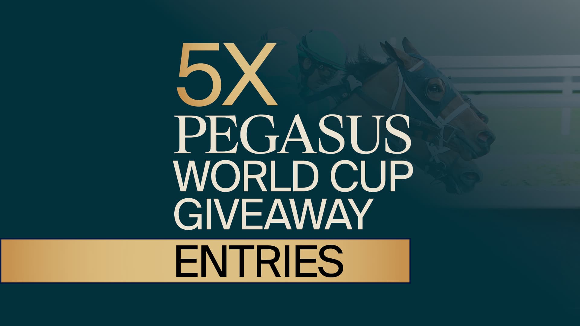 JANUARY-MONDAYS-9am-Midnight